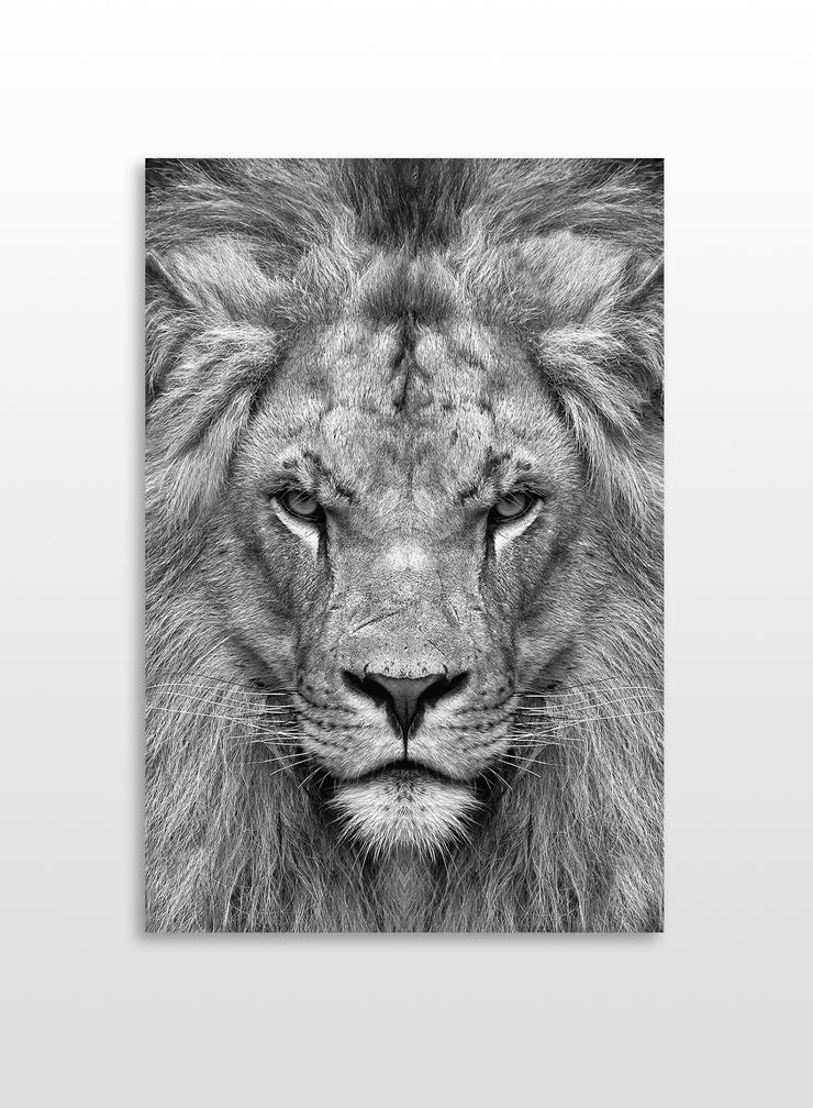 The look of a king